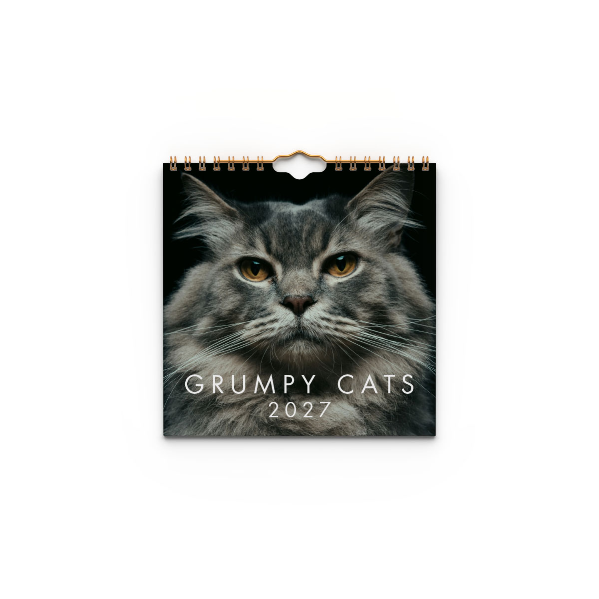 Väggkalender Grumpy Cats Mini 2027 Väggkalender Grumpy Cats Mini 2027