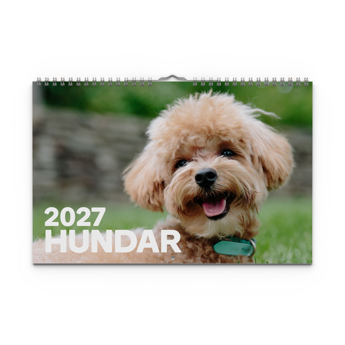 Väggkalender Hundar Medium 2027 Väggkalender Hundar Medium 2027