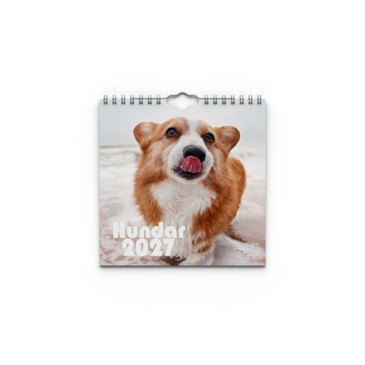 Väggkalender Hundar Mini 2027 Väggkalender Hundar Mini 2027