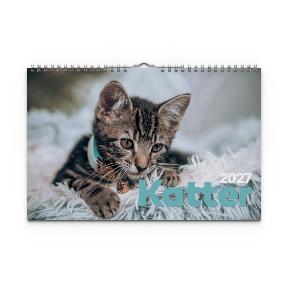 Väggkalender Katter Medium 2027 Väggkalender Katter Medium 2027