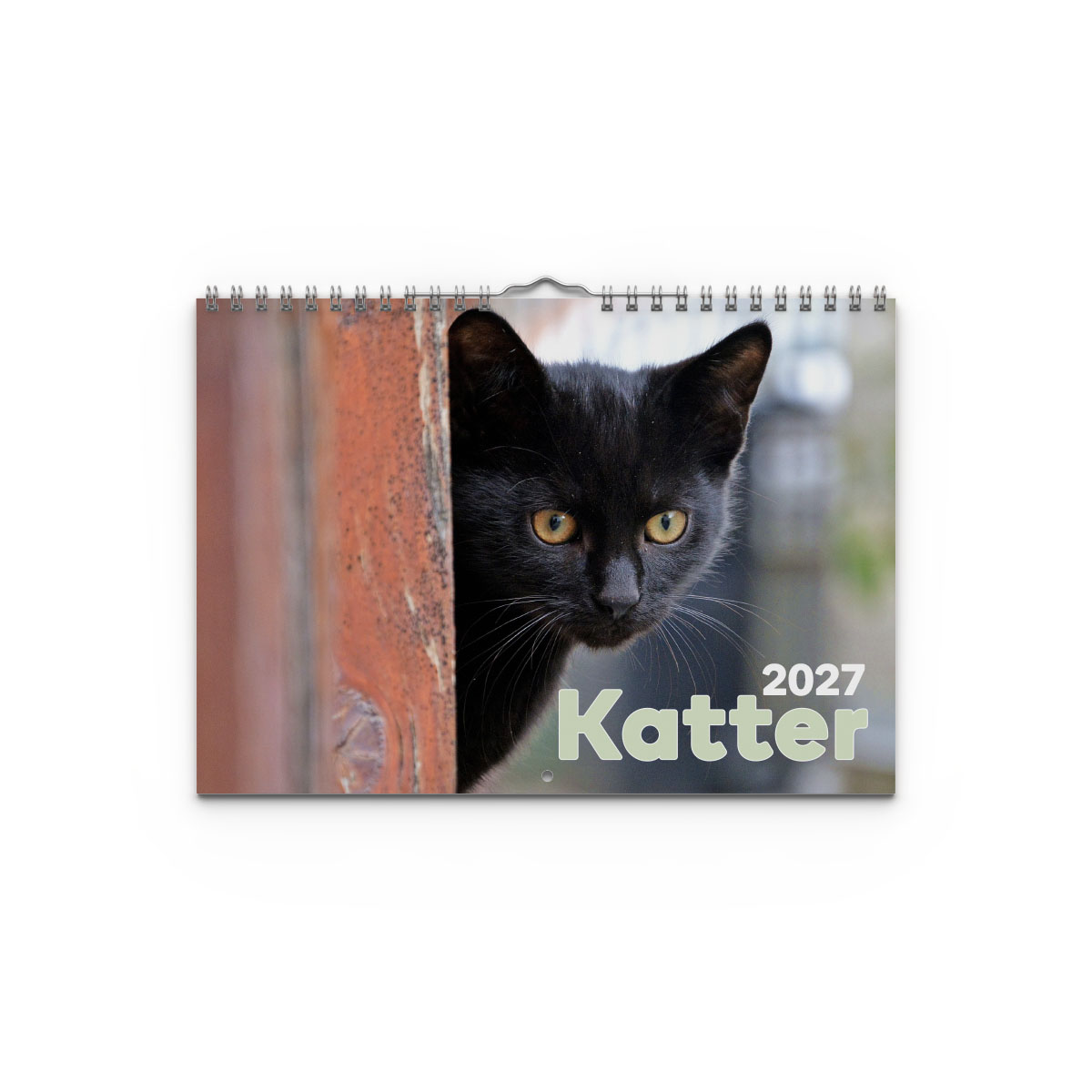 Väggkalender Katter Small 2027 Väggkalender Katter Small 2027